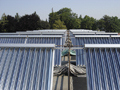Collecteurs solaires à tubes
